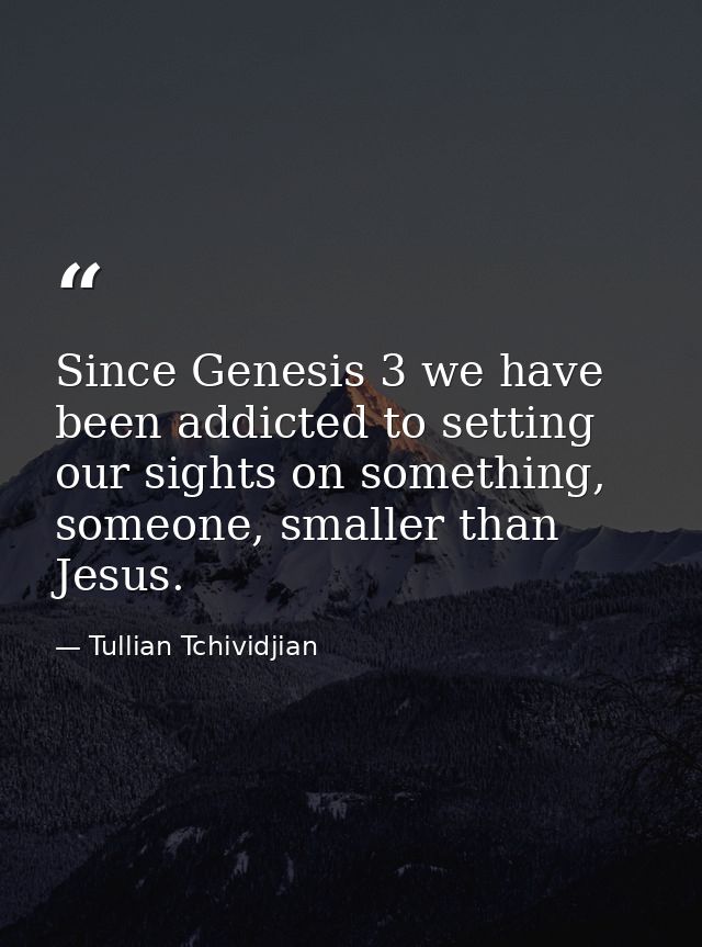 Since Genesis 3 we have been addicted to setting our sights on something, someone, smaller than Jesus. — Tullian Tchividjian