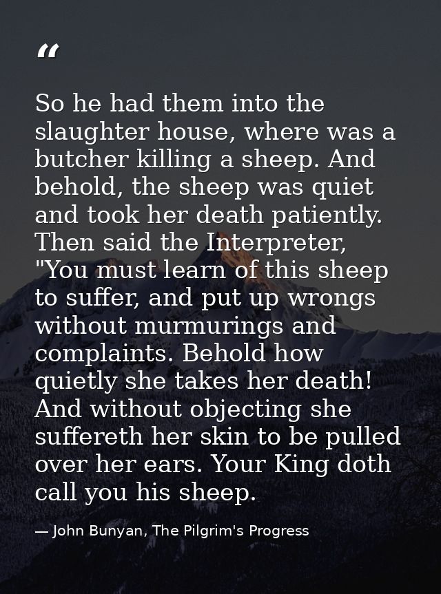 So he had them into the slaughter house, where was a butcher killing a sheep. And behold, the sheep was quiet and took h — John Bunyan, The Pilgrim's Progress