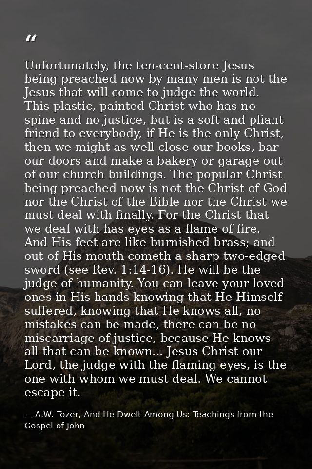 Unfortunately, the ten-cent-store Jesus being preached now by many men is not the Jesus that will come to judge the worl — A.W. Tozer, And He Dwelt Among Us: Teachings from the Gospel of John