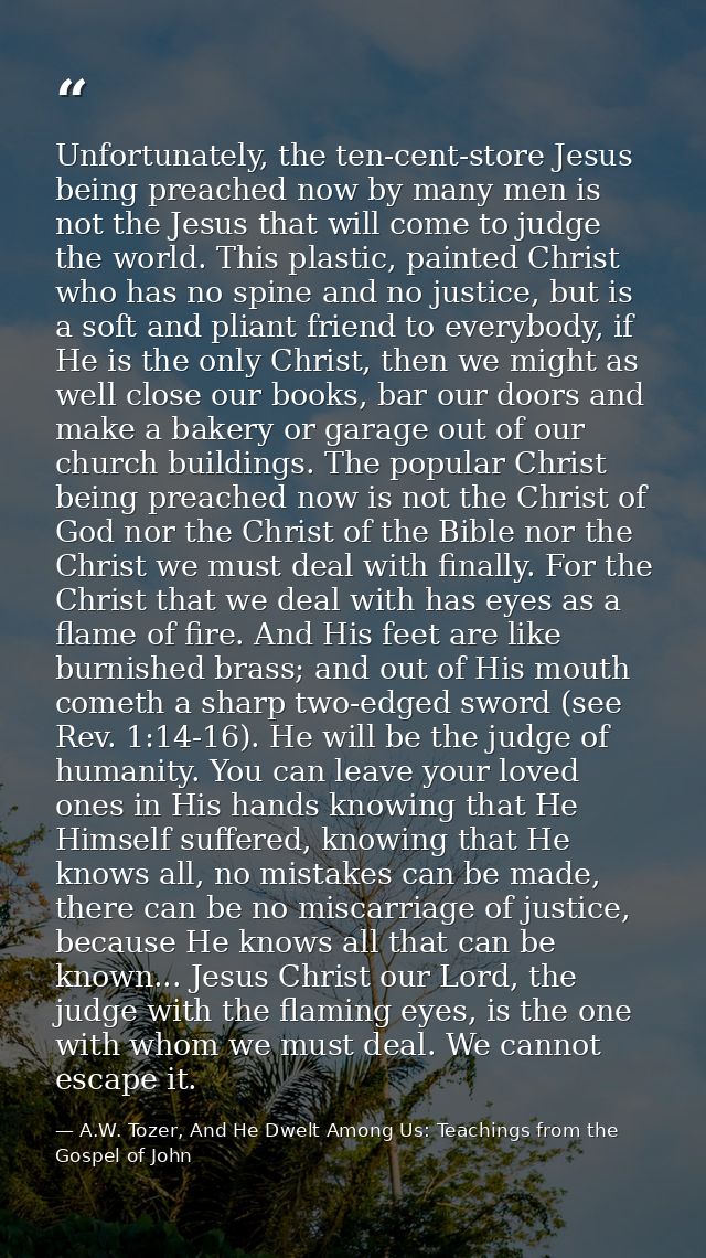 Unfortunately, the ten-cent-store Jesus being preached now by many men is not the Jesus that will come to judge the worl — A.W. Tozer, And He Dwelt Among Us: Teachings from the Gospel of John