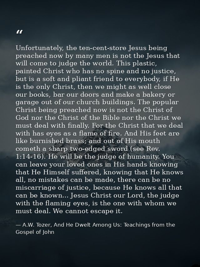 Unfortunately, the ten-cent-store Jesus being preached now by many men is not the Jesus that will come to judge the worl — A.W. Tozer, And He Dwelt Among Us: Teachings from the Gospel of John