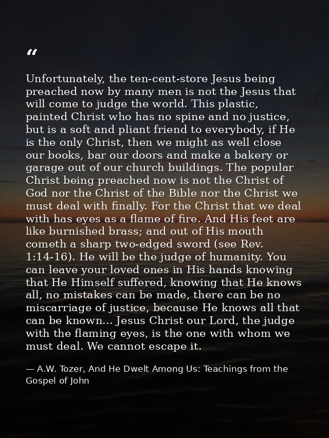 Unfortunately, the ten-cent-store Jesus being preached now by many men is not the Jesus that will come to judge the worl — A.W. Tozer, And He Dwelt Among Us: Teachings from the Gospel of John