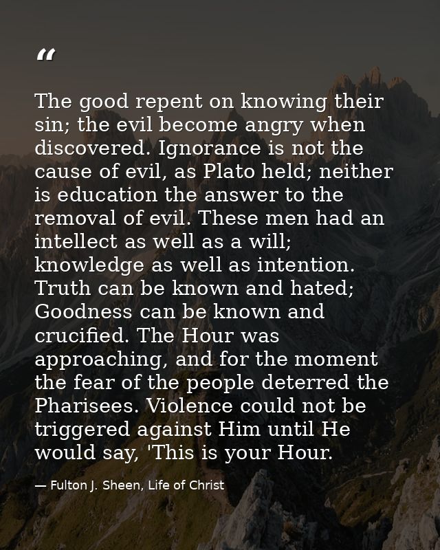The good repent on knowing their sin; the evil become angry when discovered. Ignorance is not the cause of evil, as Plat — Fulton J. Sheen, Life of Christ