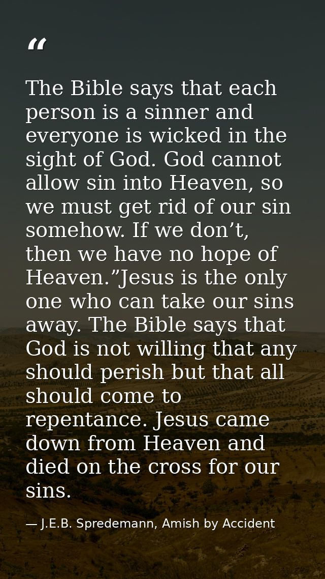 The Bible says that each person is a sinner and everyone is wicked in the sight of God. God cannot allow sin into Heaven — J.E.B. Spredemann, Amish by Accident
