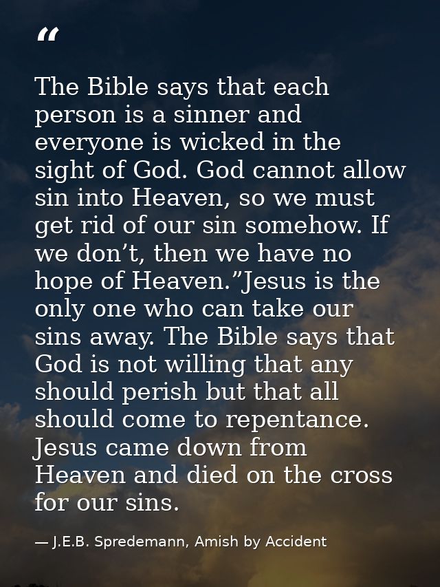 The Bible says that each person is a sinner and everyone is wicked in the sight of God. God cannot allow sin into Heaven — J.E.B. Spredemann, Amish by Accident