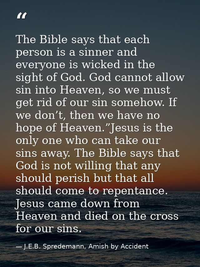 The Bible says that each person is a sinner and everyone is wicked in the sight of God. God cannot allow sin into Heaven — J.E.B. Spredemann, Amish by Accident