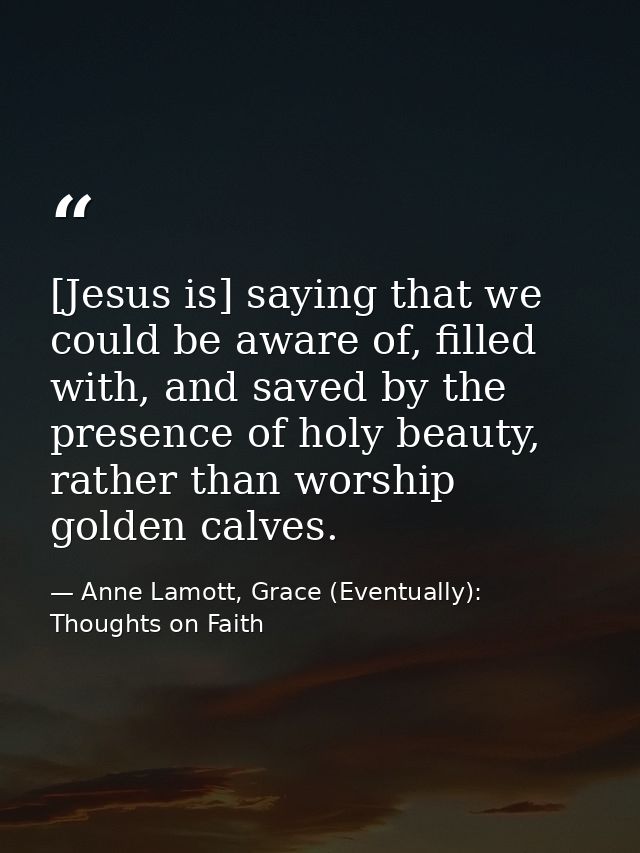 [Jesus is] saying that we could be aware of, filled with, and saved by the presence of holy beauty, rather than worship  — Anne Lamott, Grace (Eventually): Thoughts on Faith