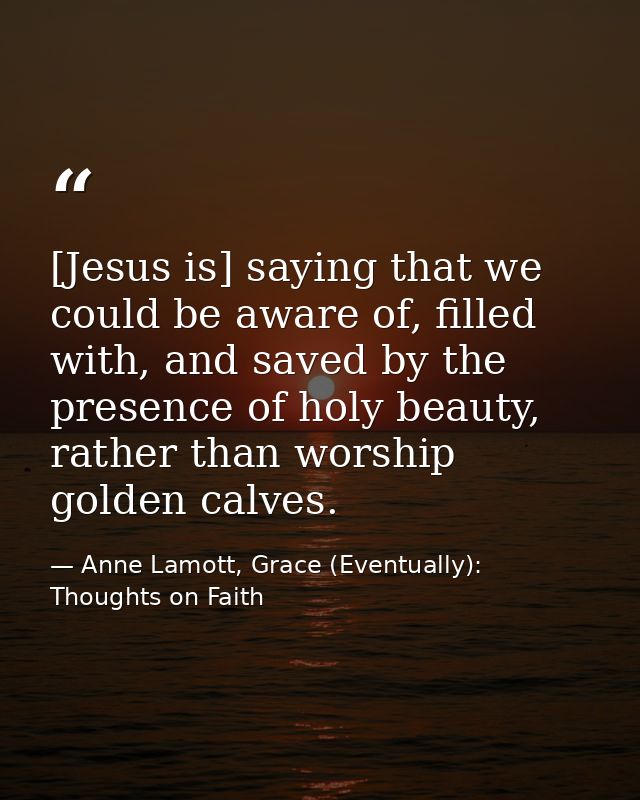 [Jesus is] saying that we could be aware of, filled with, and saved by the presence of holy beauty, rather than worship  — Anne Lamott, Grace (Eventually): Thoughts on Faith