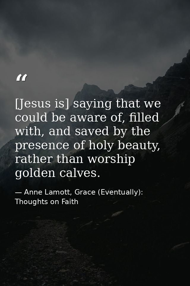 [Jesus is] saying that we could be aware of, filled with, and saved by the presence of holy beauty, rather than worship  — Anne Lamott, Grace (Eventually): Thoughts on Faith