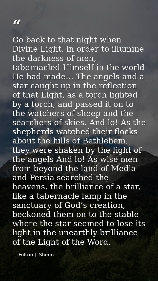 Go back to that night when Divine Light, in order to illumine the darkness of men, tabernacled Himself in the world He h — Fulton J. Sheen