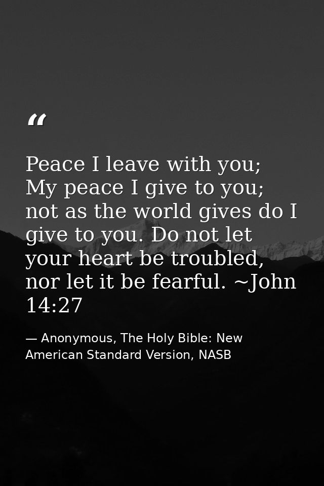 Peace I leave with you; My peace I give to you; not as the world gives do I give to you. Do not let your heart be troubl — Anonymous, The Holy Bible: New American Standard Version, NASB