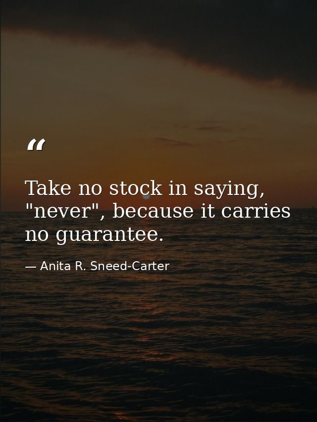 Take no stock in saying, "never", because it carries no guarantee. — Anita R. Sneed-Carter