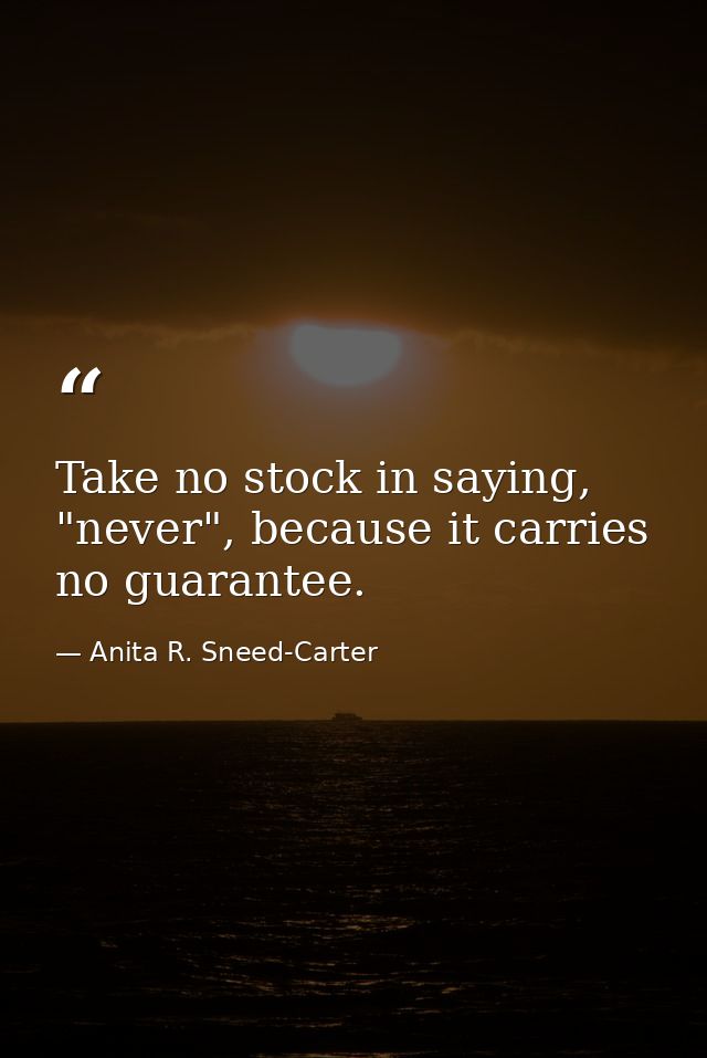 Take no stock in saying, "never", because it carries no guarantee. — Anita R. Sneed-Carter
