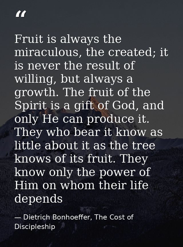 Fruit is always the miraculous, the created; it is never the result of willing, but always a growth. The fruit of the Sp — Dietrich Bonhoeffer, The Cost of Discipleship