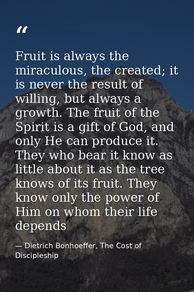 Fruit is always the miraculous, the created; it is never the result of willing, but always a growth. The fruit of the Sp — Dietrich Bonhoeffer, The Cost of Discipleship