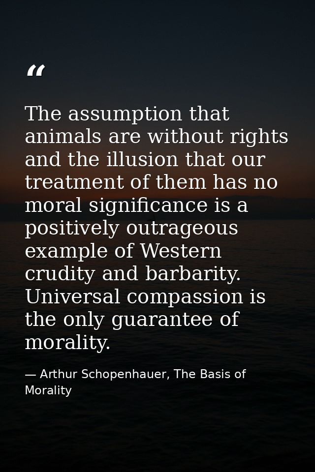 The assumption that animals are without rights and the illusion that our treatment of them has no moral significance is  — Arthur Schopenhauer, The Basis of Morality