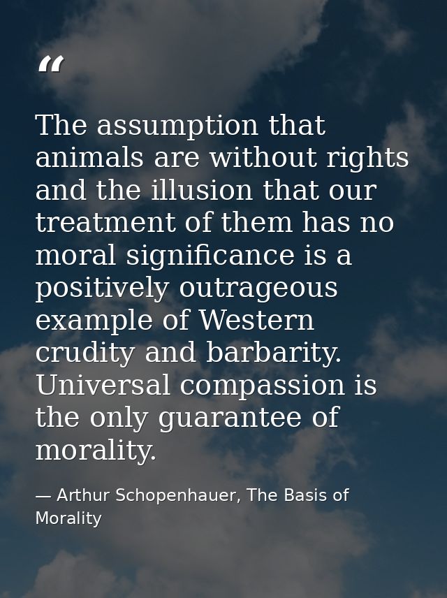 The assumption that animals are without rights and the illusion that our treatment of them has no moral significance is  — Arthur Schopenhauer, The Basis of Morality