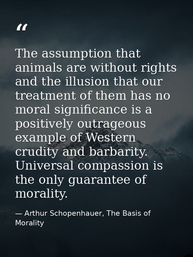 The assumption that animals are without rights and the illusion that our treatment of them has no moral significance is  — Arthur Schopenhauer, The Basis of Morality