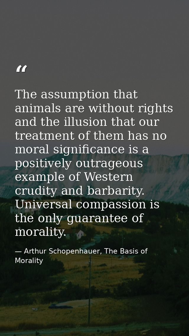 The assumption that animals are without rights and the illusion that our treatment of them has no moral significance is  — Arthur Schopenhauer, The Basis of Morality