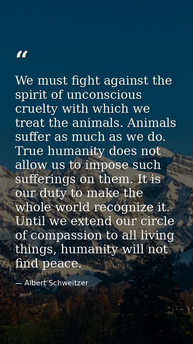 We must fight against the spirit of unconscious cruelty with which we treat the animals. Animals suffer as much as we do — Albert Schweitzer