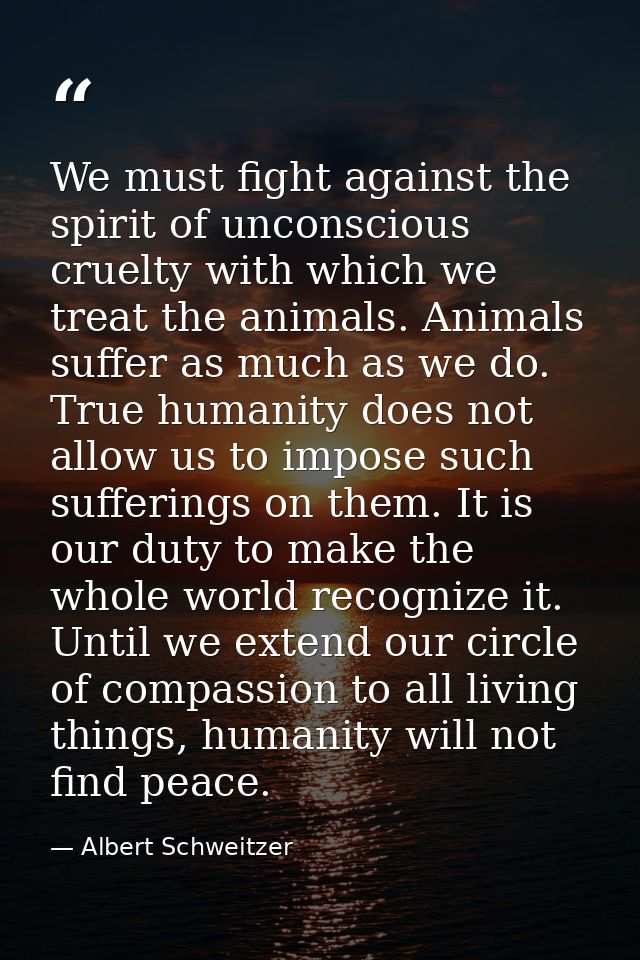 We must fight against the spirit of unconscious cruelty with which we treat the animals. Animals suffer as much as we do — Albert Schweitzer