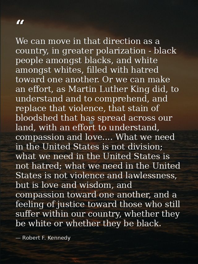 We can move in that direction as a country, in greater polarization - black people amongst blacks, and white amongst whi — Robert F. Kennedy
