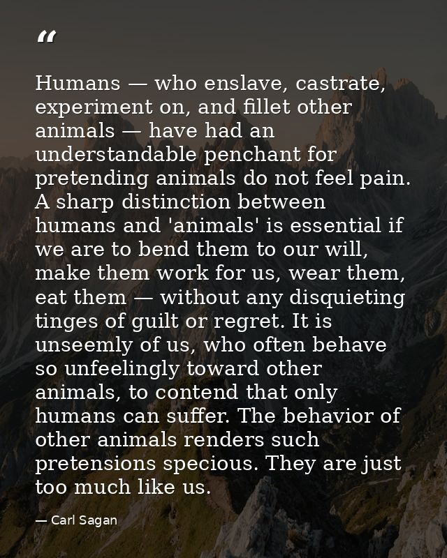 Humans — who enslave, castrate, experiment on, and fillet other animals — have had an understandable penchant for preten — Carl Sagan