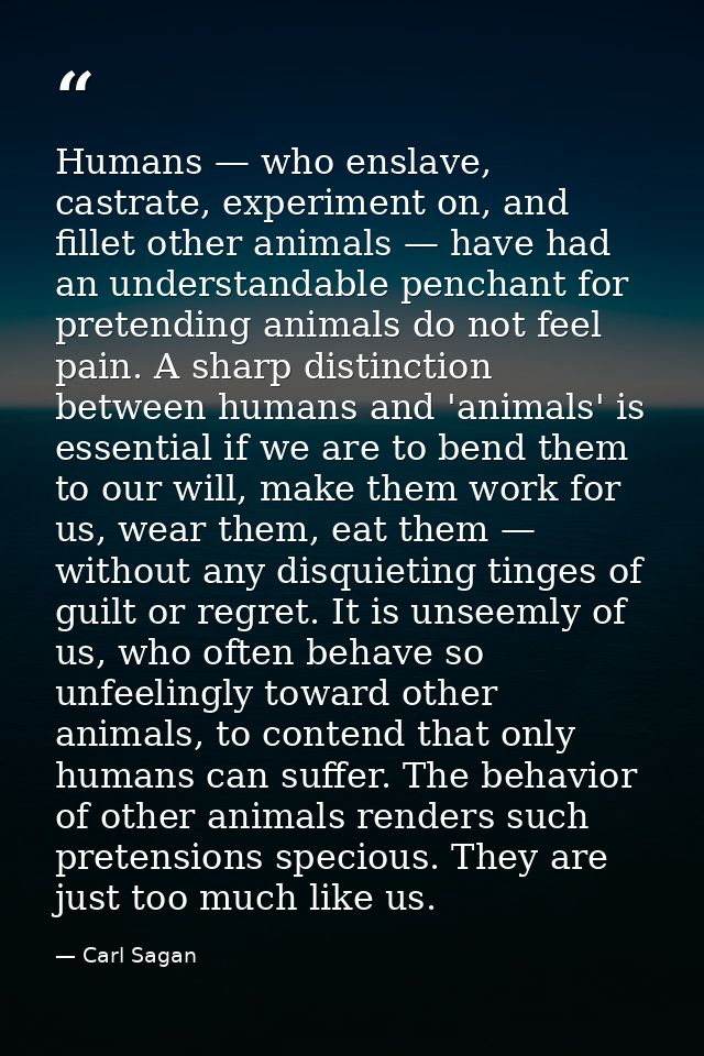 Humans — who enslave, castrate, experiment on, and fillet other animals — have had an understandable penchant for preten — Carl Sagan