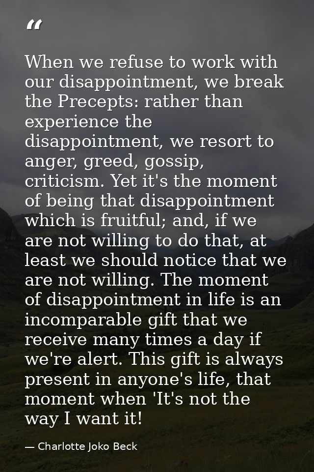 When we refuse to work with our disappointment, we break the Precepts: rather than experience the disappointment, we res — Charlotte Joko Beck