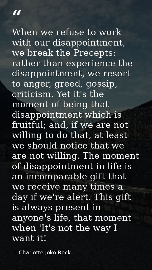 When we refuse to work with our disappointment, we break the Precepts: rather than experience the disappointment, we res — Charlotte Joko Beck