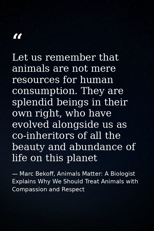Let us remember that animals are not mere resources for human consumption. They are splendid beings in their own right,  — Marc Bekoff, Animals Matter: A Biologist Explains Why We Should Treat Animals with Compassion and Respect