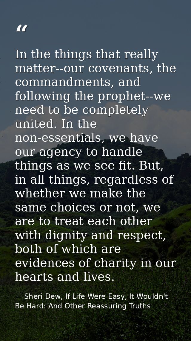 In the things that really matter--our covenants, the commandments, and following the prophet--we need to be completely u — Sheri Dew, If Life Were Easy, It Wouldn't Be Hard: And Other Reassuring Truths