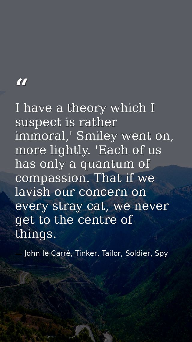I have a theory which I suspect is rather immoral,' Smiley went on, more lightly. 'Each of us has only a quantum of comp — John le Carré, Tinker, Tailor, Soldier, Spy