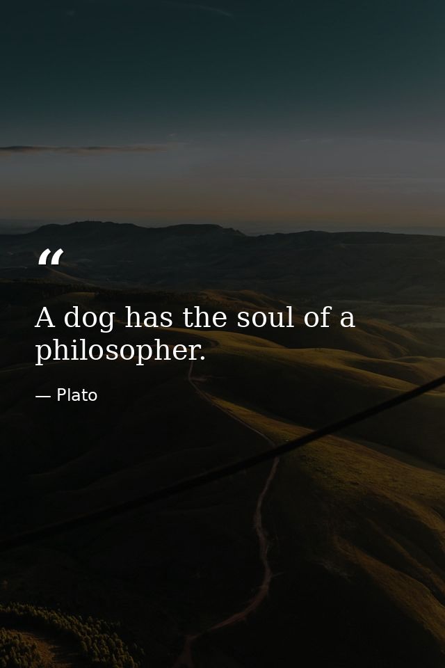 A dog has the soul of a philosopher. — Plato