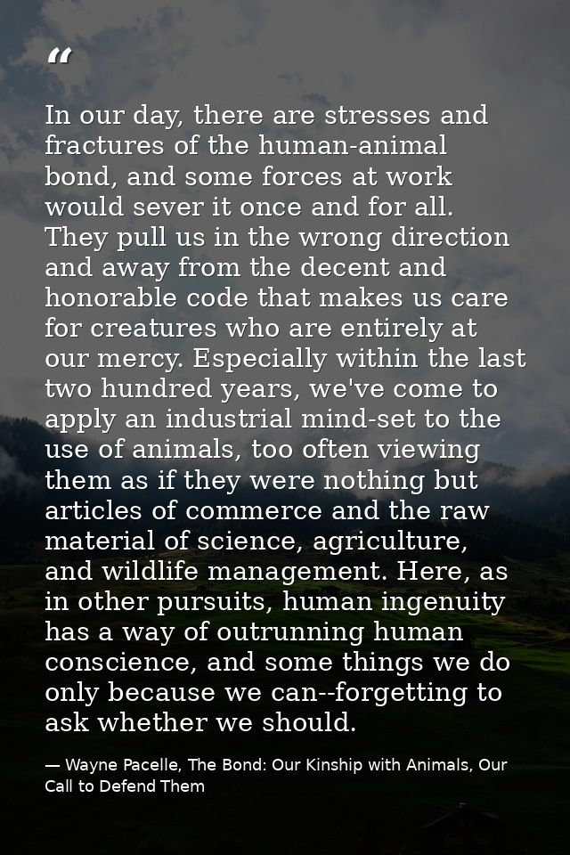 In our day, there are stresses and fractures of the human-animal bond, and some forces at work would sever it once and f — Wayne Pacelle, The Bond: Our Kinship with Animals, Our Call to Defend Them