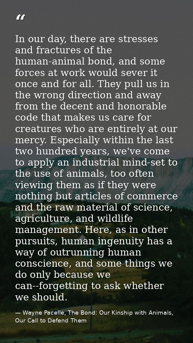 In our day, there are stresses and fractures of the human-animal bond, and some forces at work would sever it once and f — Wayne Pacelle, The Bond: Our Kinship with Animals, Our Call to Defend Them