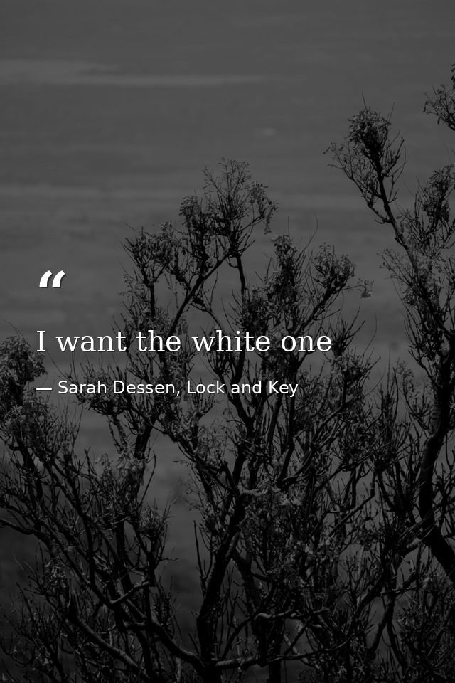 I want the white one — Sarah Dessen, Lock and Key