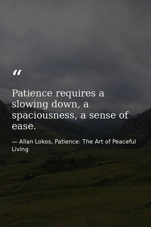 Patience requires a slowing down, a spaciousness, a sense of ease. — Allan Lokos, Patience: The Art of Peaceful Living