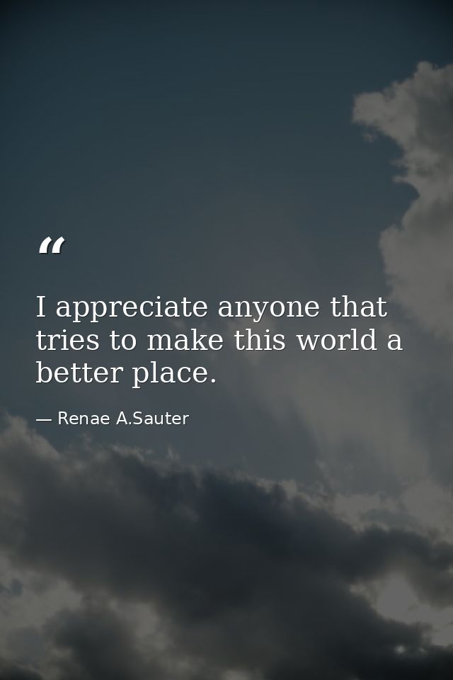 I appreciate anyone that tries to make this world a better place. — Renae A.Sauter