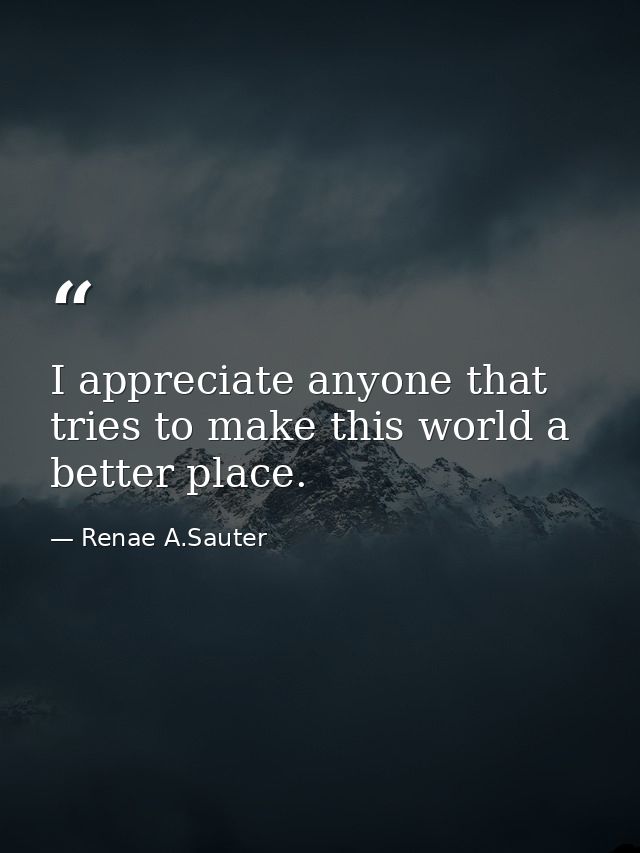I appreciate anyone that tries to make this world a better place. — Renae A.Sauter