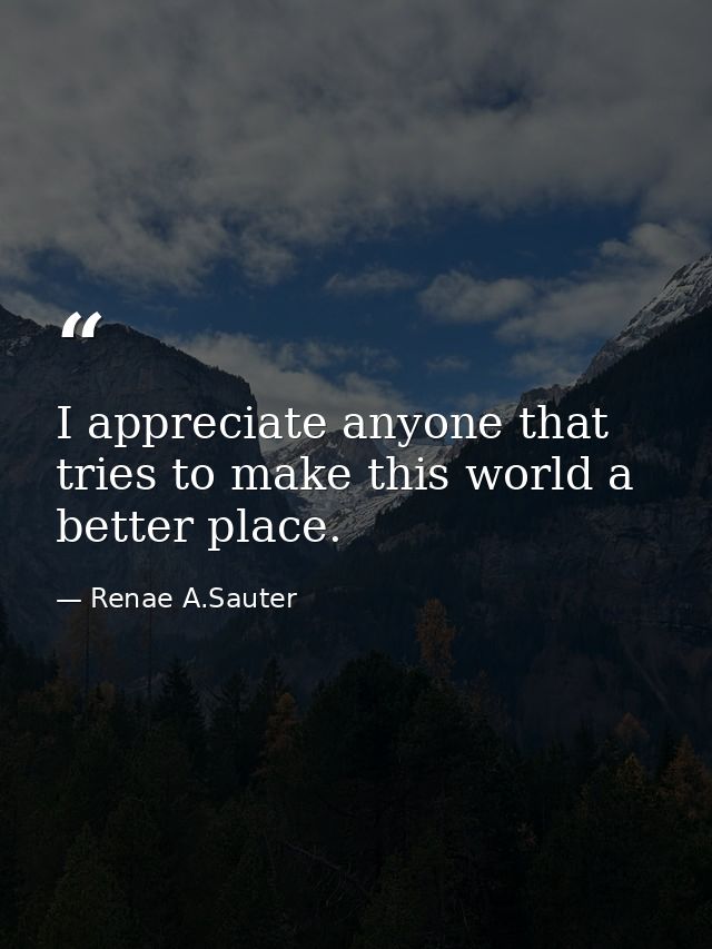 I appreciate anyone that tries to make this world a better place. — Renae A.Sauter