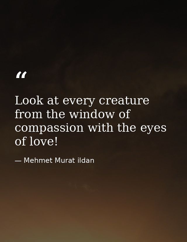 Look at every creature from the window of compassion with the eyes of love! — Mehmet Murat ildan
