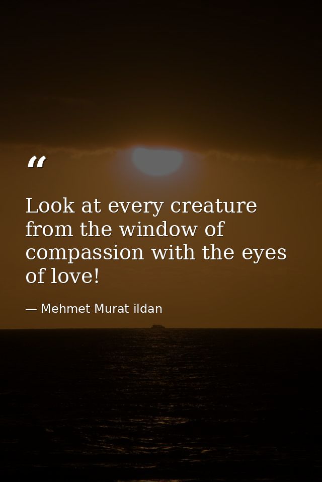Look at every creature from the window of compassion with the eyes of love! — Mehmet Murat ildan