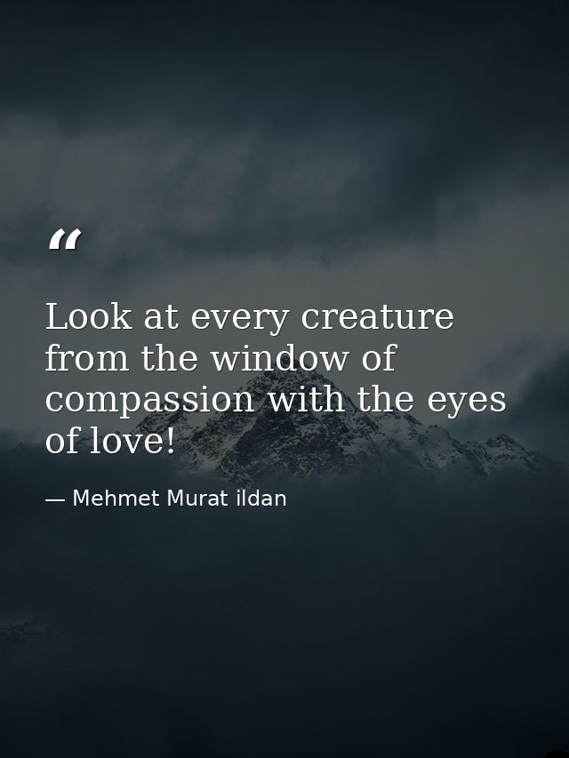 Look at every creature from the window of compassion with the eyes of love! — Mehmet Murat ildan