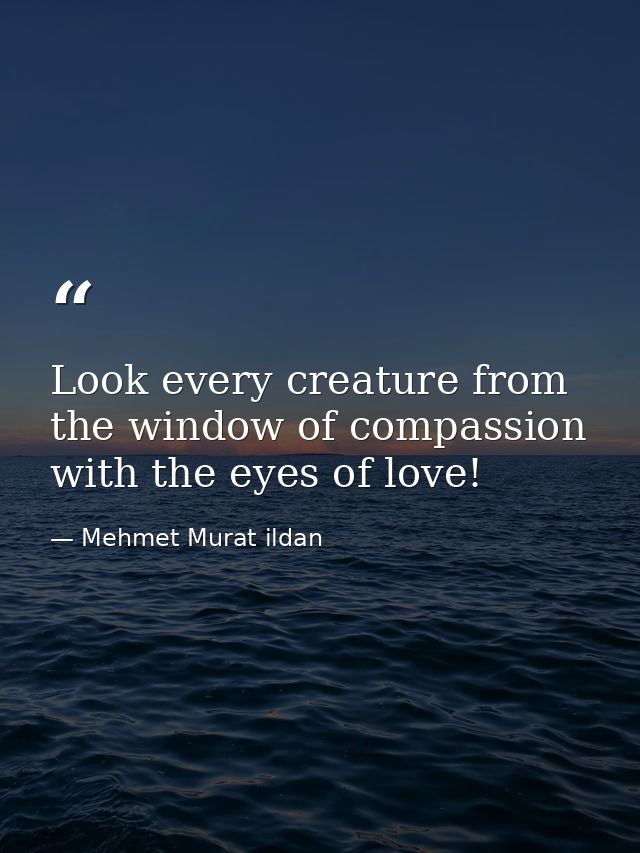 Look every creature from the window of compassion with the eyes of love! — Mehmet Murat ildan