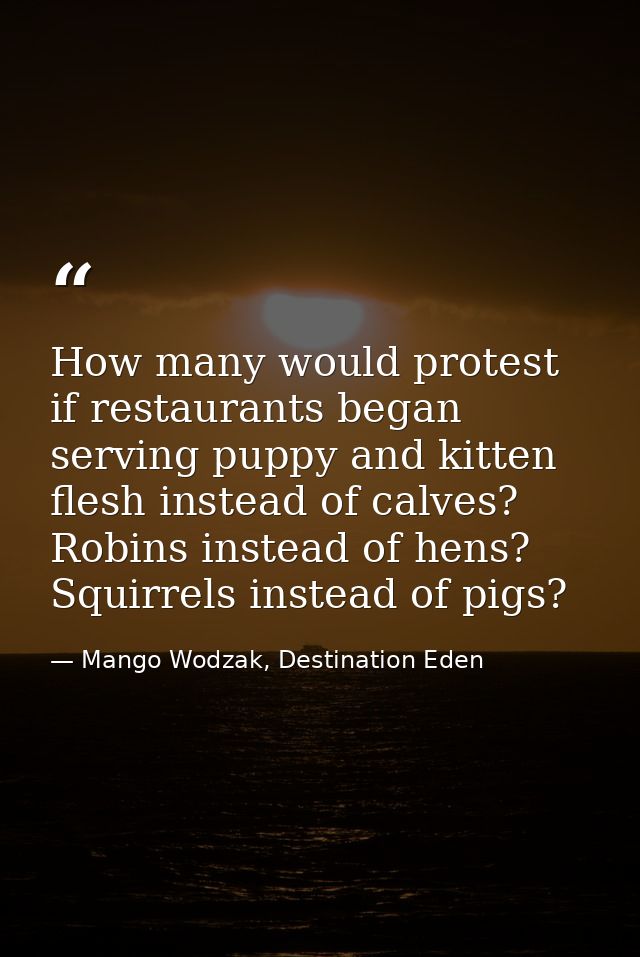 How many would protest if restaurants began serving puppy and kitten flesh instead of calves? Robins instead of hens? Sq — Mango Wodzak, Destination Eden