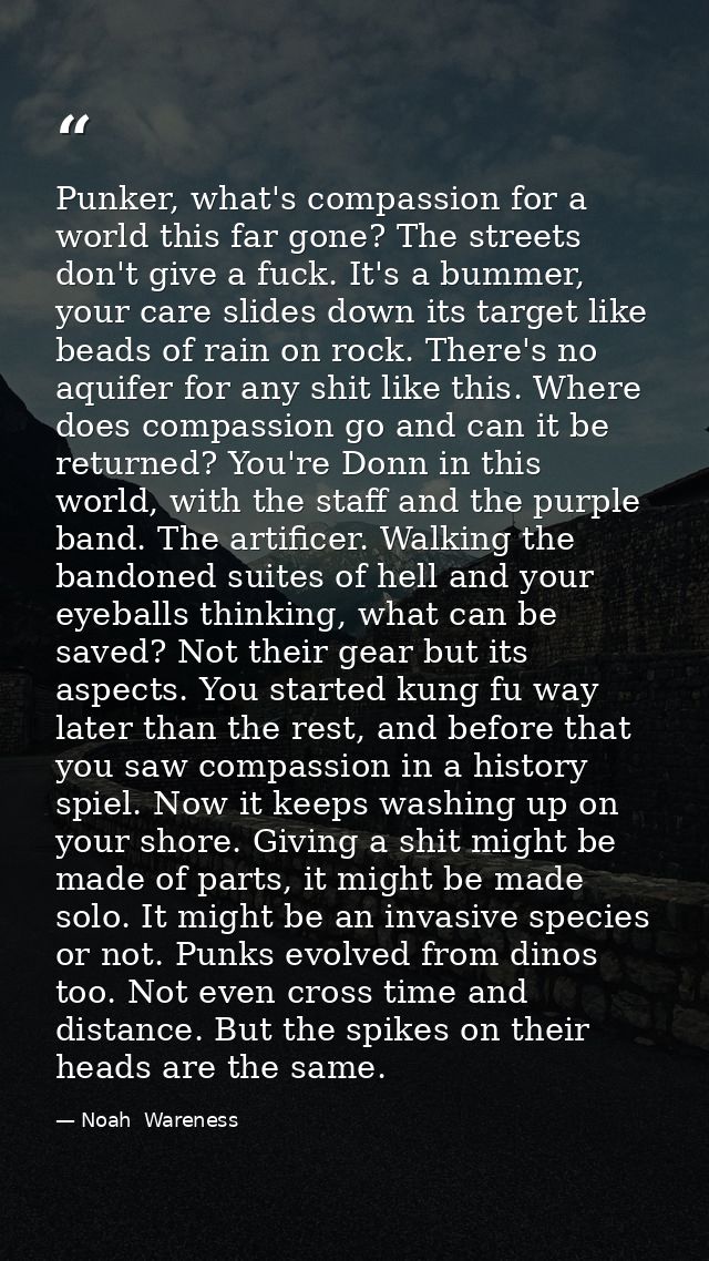 Punker, what's compassion for a world this far gone? The streets don't give a fuck. It's a bummer, your care slides down — Noah  Wareness