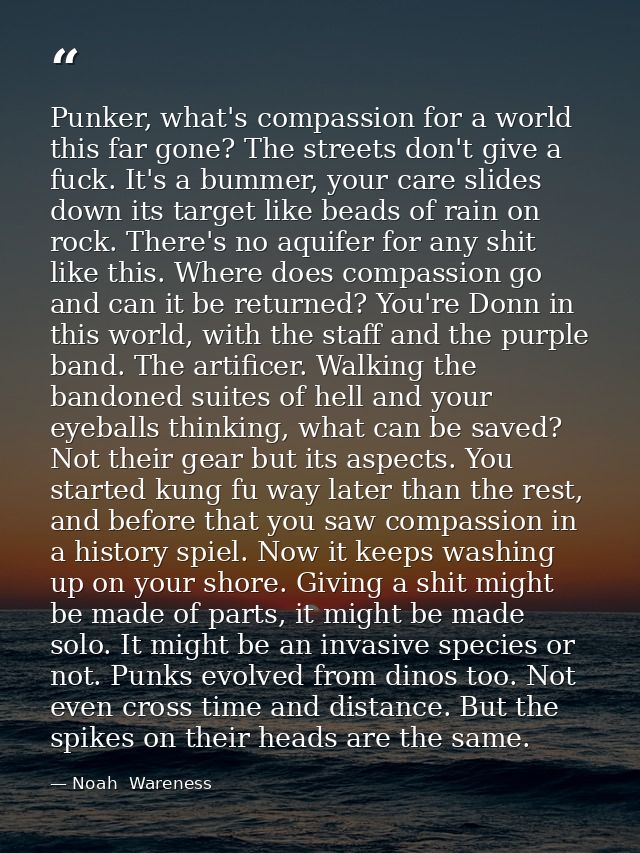 Punker, what's compassion for a world this far gone? The streets don't give a fuck. It's a bummer, your care slides down — Noah  Wareness