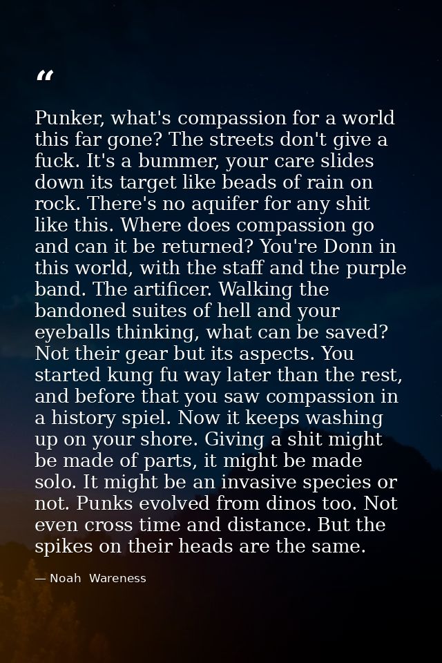 Punker, what's compassion for a world this far gone? The streets don't give a fuck. It's a bummer, your care slides down — Noah  Wareness