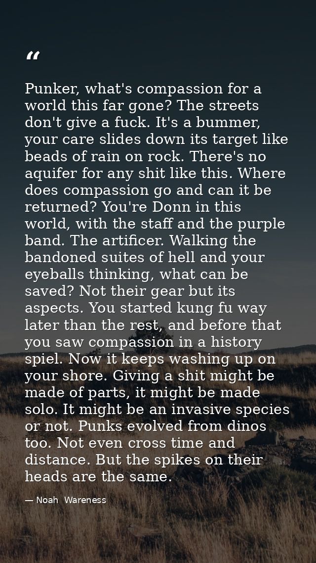 Punker, what's compassion for a world this far gone? The streets don't give a fuck. It's a bummer, your care slides down — Noah  Wareness